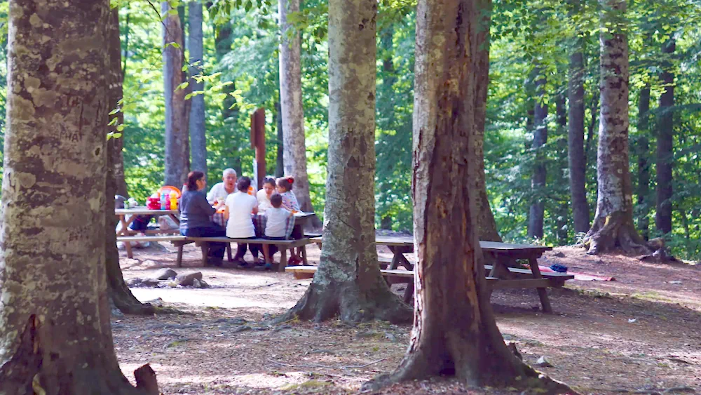 Suuçtu Şelalesi ve Tabiat Parkı görünümü