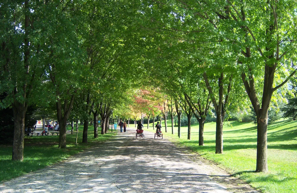 Bursa Hayvanat Bahçesi & Botanik Park görünümü